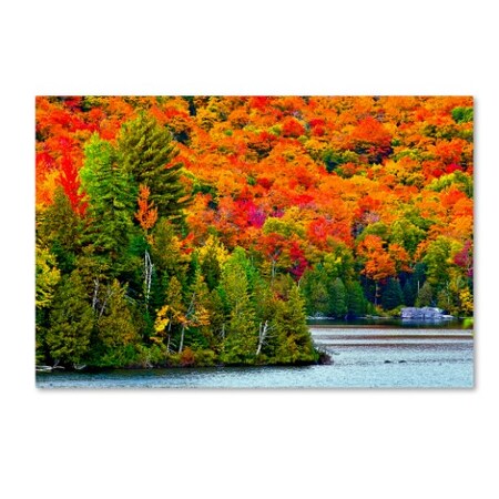 Trademark Fine Art The Lieberman Collection 'Autumn Landscape' Canvas Art, 30x47 ALI12117-C3047GG
